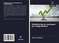 Bookcover of Modellering en metingen op veldgrafieken