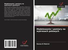 Portada del libro de Modelowanie i pomiary na wykresach polowych