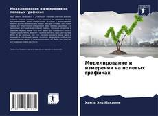 Моделирование и измерения на полевых графиках的封面