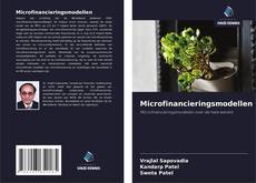Couverture de Microfinancieringsmodellen