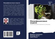 Микрофинансовые модели kitap kapağı