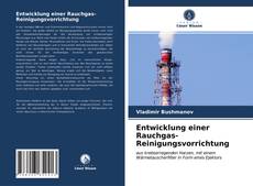 Copertina di Entwicklung einer Rauchgas-Reinigungsvorrichtung