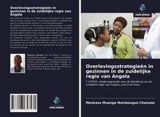 Couverture de Overlevingsstrategieën in gezinnen in de zuidelijke regio van Angola