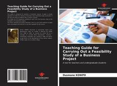 Teaching Guide for Carrying Out a Feasibility Study of a Business Project kitap kapağı