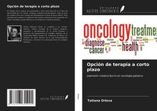 Capa do livro de Opción de terapia a corto plazo 