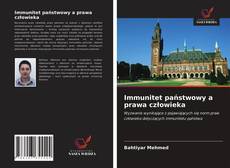 Bookcover of Immunitet państwowy a prawa człowieka