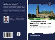 Buchcover von Государственный иммунитет против прав человека