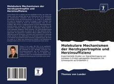 Обложка Molekulare Mechanismen der Herzhypertrophie und Herzinsuffizienz