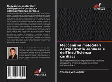 Portada del libro de Meccanismi molecolari dell'ipertrofia cardiaca e dell'insufficienza cardiaca