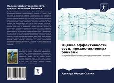 Copertina di Оценка эффективности ссуд, предоставленных банками