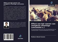 Bookcover of Effect van het voeren van weegbree (Plantago Lanceolata L.)