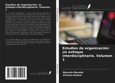 Borítókép a  Estudios de organización: un enfoque interdisciplinario. Volumen 1 - hoz