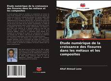 Portada del libro de Étude numérique de la croissance des fissures dans les métaux et les composites