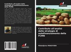 Contributo all'analisi delle strategie di autofinanziamento della FCMN kitap kapağı