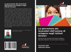 La percezione dei lavoratori dell'azione di sciopero negli istituti terziari的封面