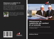 Ottimizzare la redditività dei cantieri di un'azienda的封面