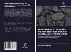 Bookcover of Goudzoeken in Ivoorkust: de mechanismen van een plaatselijke onderneming