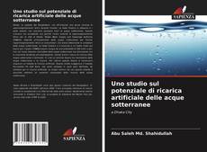 Copertina di Uno studio sul potenziale di ricarica artificiale delle acque sotterranee