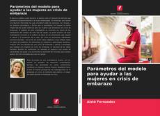 Copertina di Parámetros del modelo para ayudar a las mujeres en crisis de embarazo