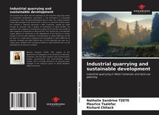 Bookcover of Industrial quarrying and sustainable development