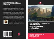 Copertina di Exploração de pedreiras industriais e desenvolvimento sustentável