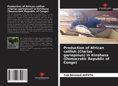 Bookcover of Production of African catfish (Clarias gariepinus) in Kinshasa (Democratic Republic of Congo)