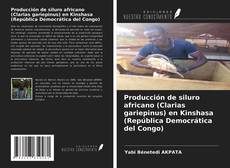 Bookcover of Producción de siluro africano (Clarias gariepinus) en Kinshasa (República Democrática del Congo)