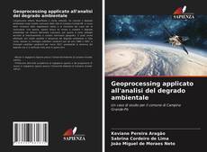 Geoprocessing applicato all'analisi del degrado ambientale kitap kapağı