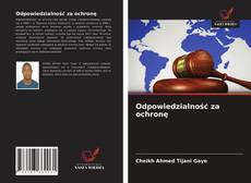 Bookcover of Odpowiedzialność za ochronę