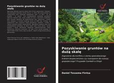 Bookcover of Pozyskiwanie gruntów na dużą skalę