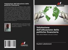 Valutazione dell'attuazione delle politiche finanziarie kitap kapağı