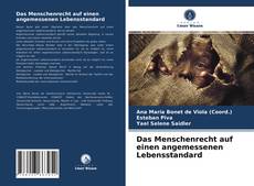 Portada del libro de Das Menschenrecht auf einen angemessenen Lebensstandard