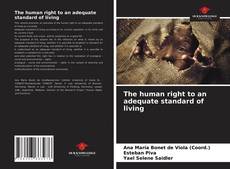 Bookcover of The human right to an adequate standard of living