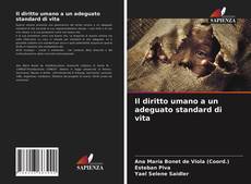 Portada del libro de Il diritto umano a un adeguato standard di vita