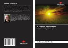 Bookcover of Critical Feminism