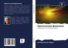 Критический феминизм kitap kapağı