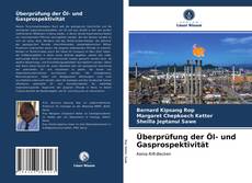 Capa do livro de Überprüfung der Öl- und Gasprospektivität 