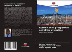 Examen de la prospection pétrolière et gazière的封面