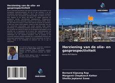 Borítókép a  Herziening van de olie- en gasprospectiviteit - hoz