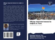 Обзор перспективности нефти и газа kitap kapağı