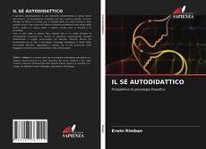 IL SÉ AUTODIDATTICO的封面