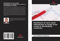 Resilience of very small enterprises to large-scale crises in developing countries的封面