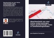 Обложка Weerbaarheid van zeer kleine ondernemingen tegen grootschalige crises in ontwikkelingslanden