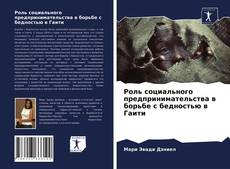 Роль социального предпринимательства в борьбе с бедностью в Гаити kitap kapağı