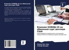 Влияние КОВИД-19 на обменный курс доллара США kitap kapağı