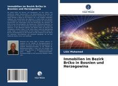 Buchcover von Immobilien im Bezirk Brčko in Bosnien und Herzegowina