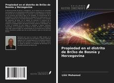 Bookcover of Propiedad en el distrito de Brčko de Bosnia y Herzegovina