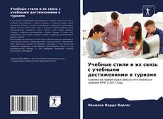 Bookcover of Учебные стили и их связь с учебными достижениями в туризме