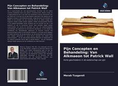 Bookcover of Pijn Concepten en Behandeling: Van Alkmaeon tot Patrick Wall