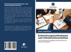 Обложка Entwicklungsinstitutionen und Infrastrukturanleihen